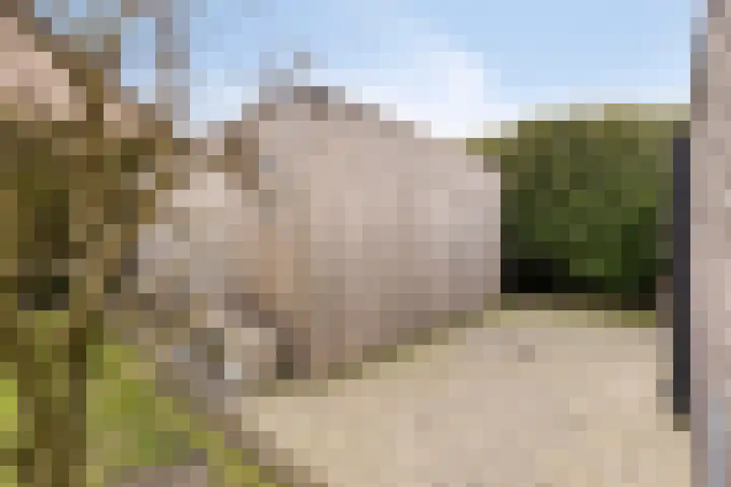 Moergestelseweg 7 Oisterwijk thumbnail 54