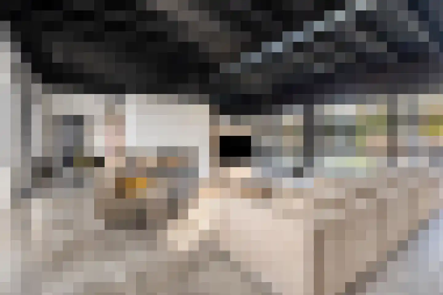 Moergestelseweg 7 Oisterwijk thumbnail 8