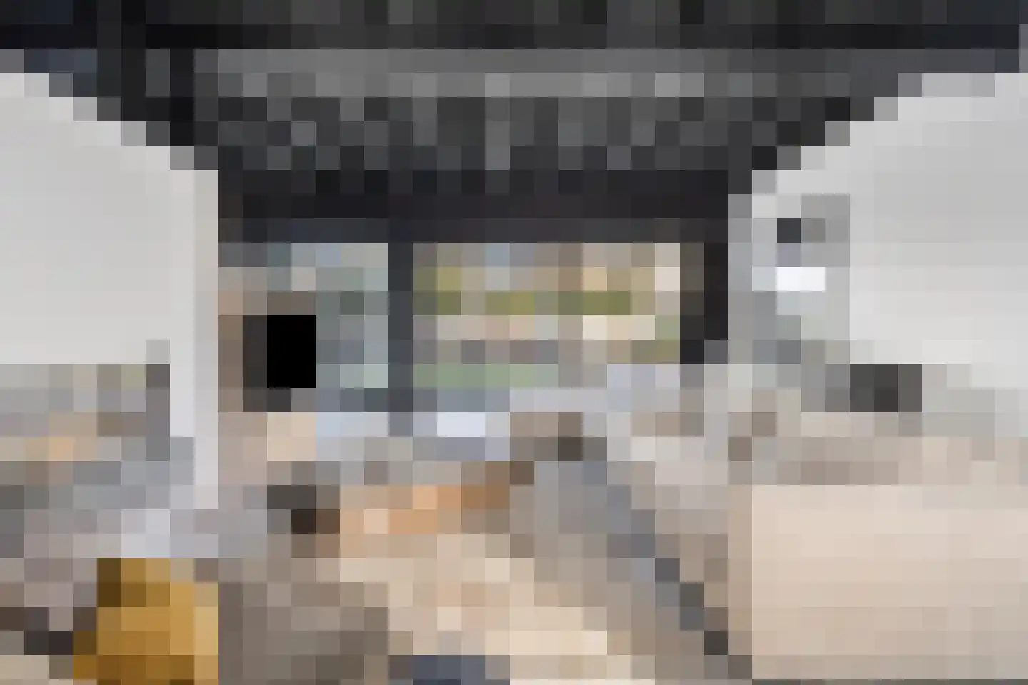 Moergestelseweg 7 Oisterwijk thumbnail 9