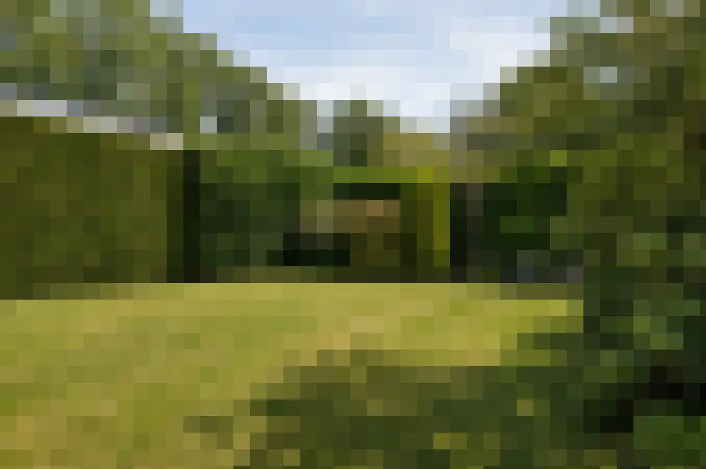 Moergestelseweg 9 Oisterwijk thumbnail 41