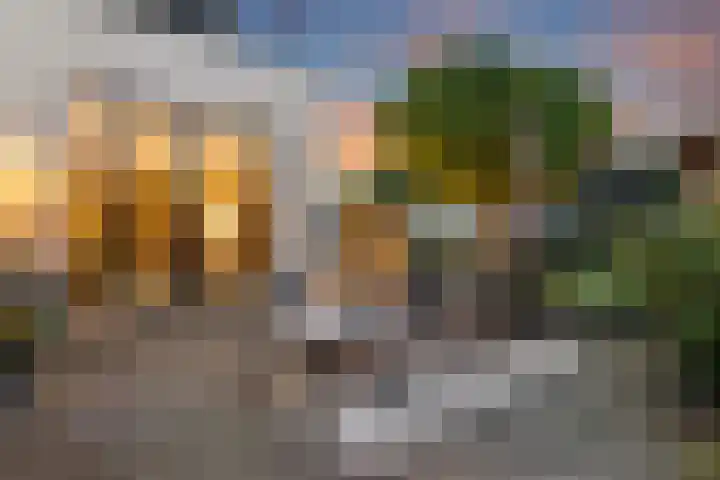 Moerheimstraat 104 Dedemsvaart thumbnail 10