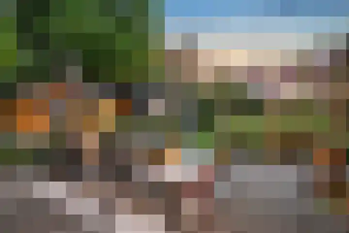 Moerheimstraat 104 Dedemsvaart thumbnail 12