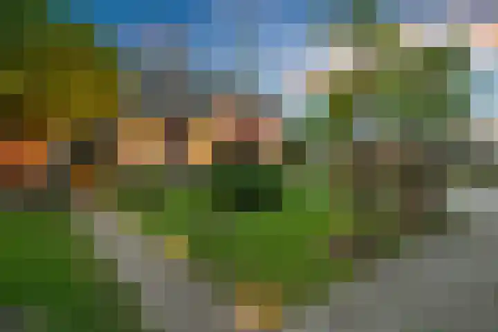 Moerheimstraat 104 Dedemsvaart thumbnail 6