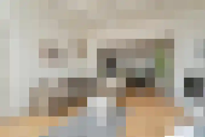 Moerheimstraat 116 Dedemsvaart thumbnail 7