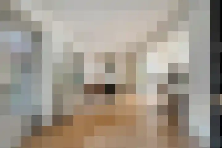 Moerheimstraat 116 Dedemsvaart thumbnail 9