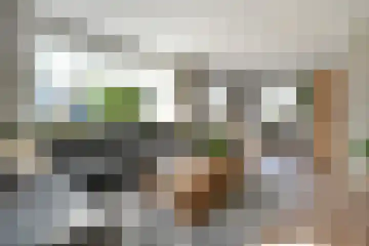 Moerheimstraat 124 Dedemsvaart thumbnail 11