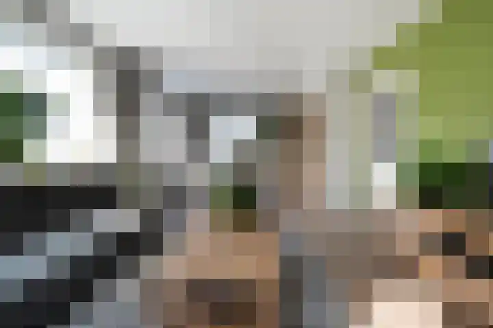 Moerheimstraat 124 Dedemsvaart thumbnail 12