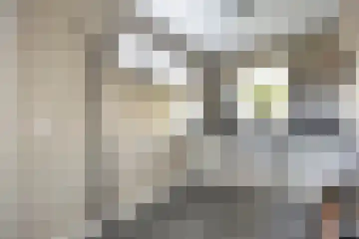 Moerheimstraat 124 Dedemsvaart thumbnail 13