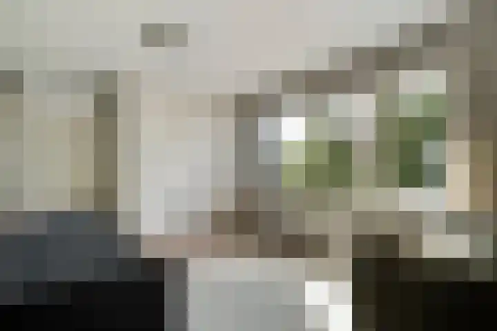 Moerheimstraat 124 Dedemsvaart thumbnail 17