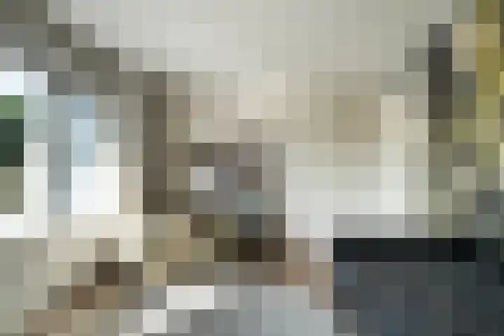 Moerheimstraat 124 Dedemsvaart thumbnail 18