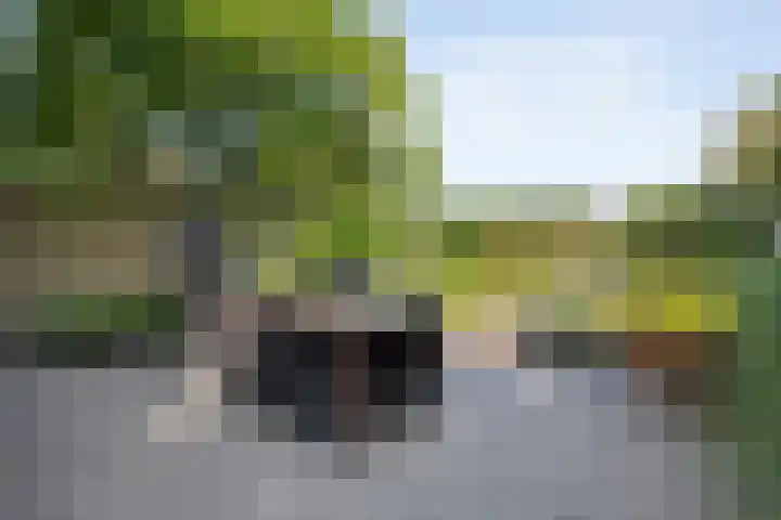 Moerheimstraat 124 Dedemsvaart thumbnail 28