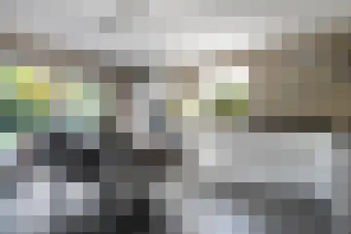 Moerheimstraat 124 Dedemsvaart thumbnail 6