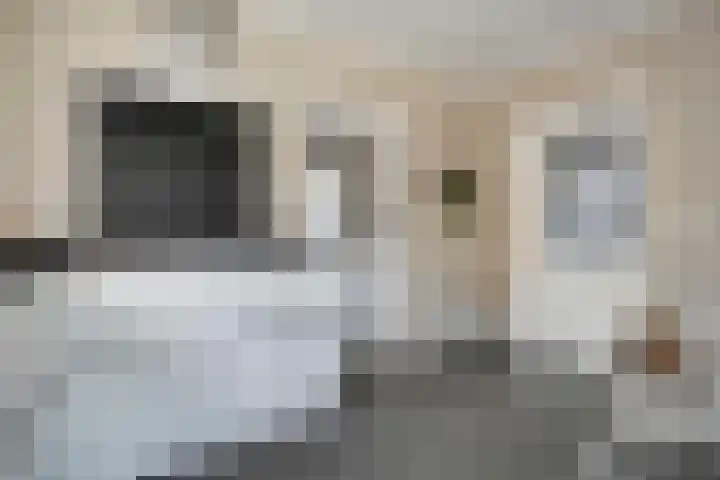 Moerheimstraat 124 Dedemsvaart thumbnail 7