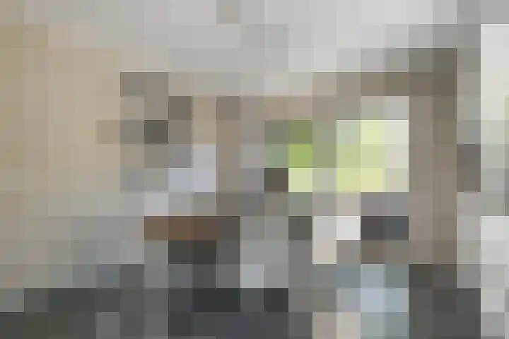 Moerheimstraat 124 Dedemsvaart thumbnail 8