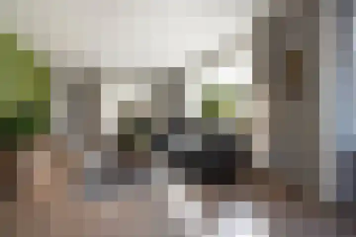 Moerheimstraat 124 Dedemsvaart thumbnail 9