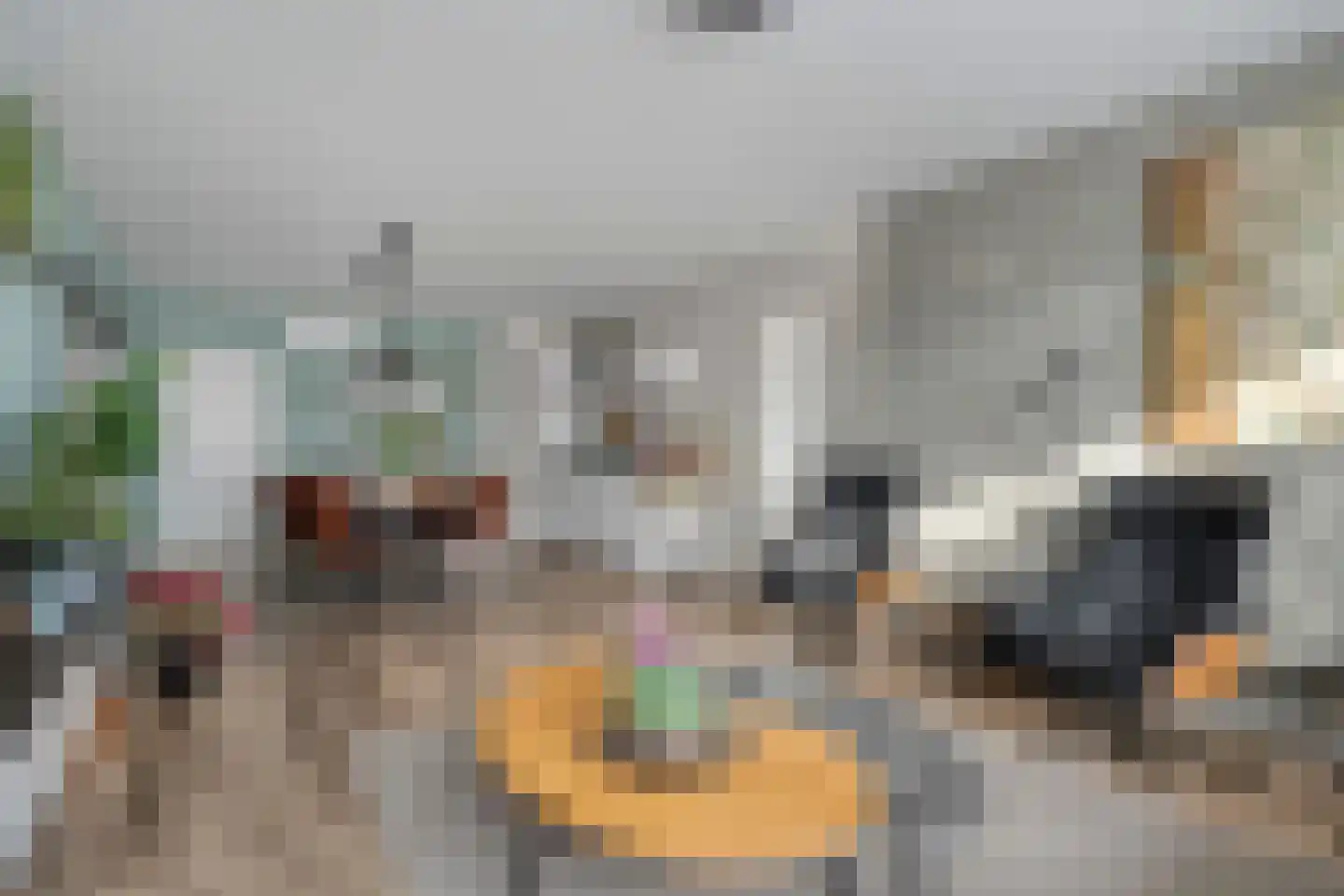 Moerheimstraat 26 Dedemsvaart thumbnail 10