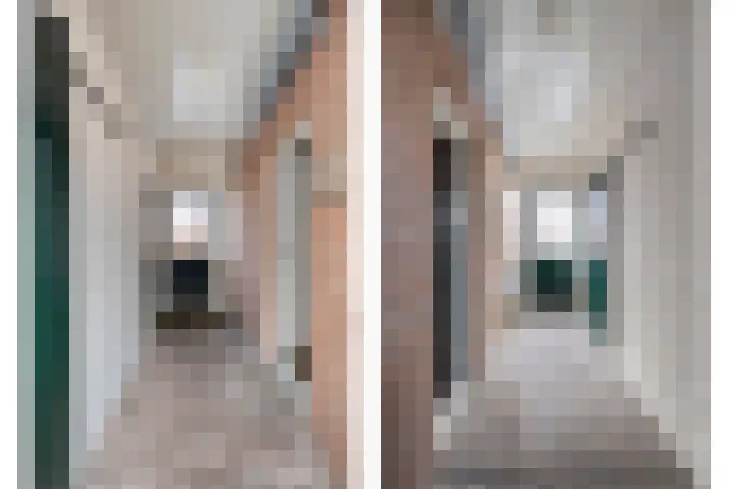 Moerheimstraat 26 Dedemsvaart thumbnail 27