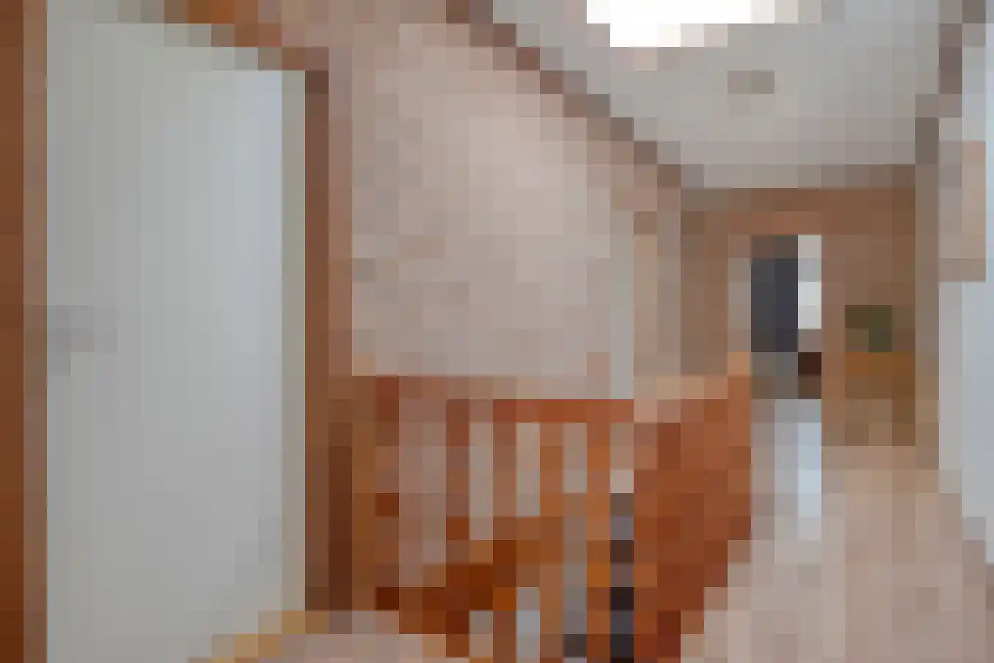 Moerheimstraat 26 Dedemsvaart thumbnail 32