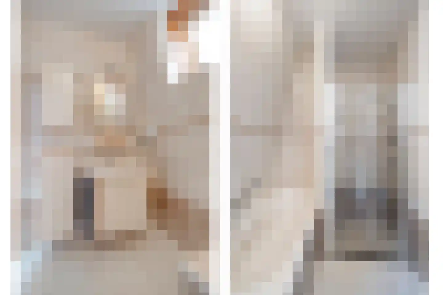 Moerheimstraat 26 Dedemsvaart thumbnail 42