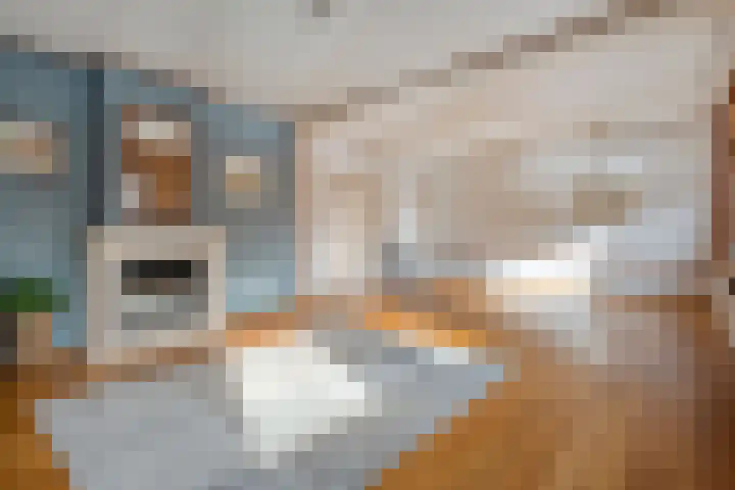 Moerheimstraat 26 Dedemsvaart thumbnail 47