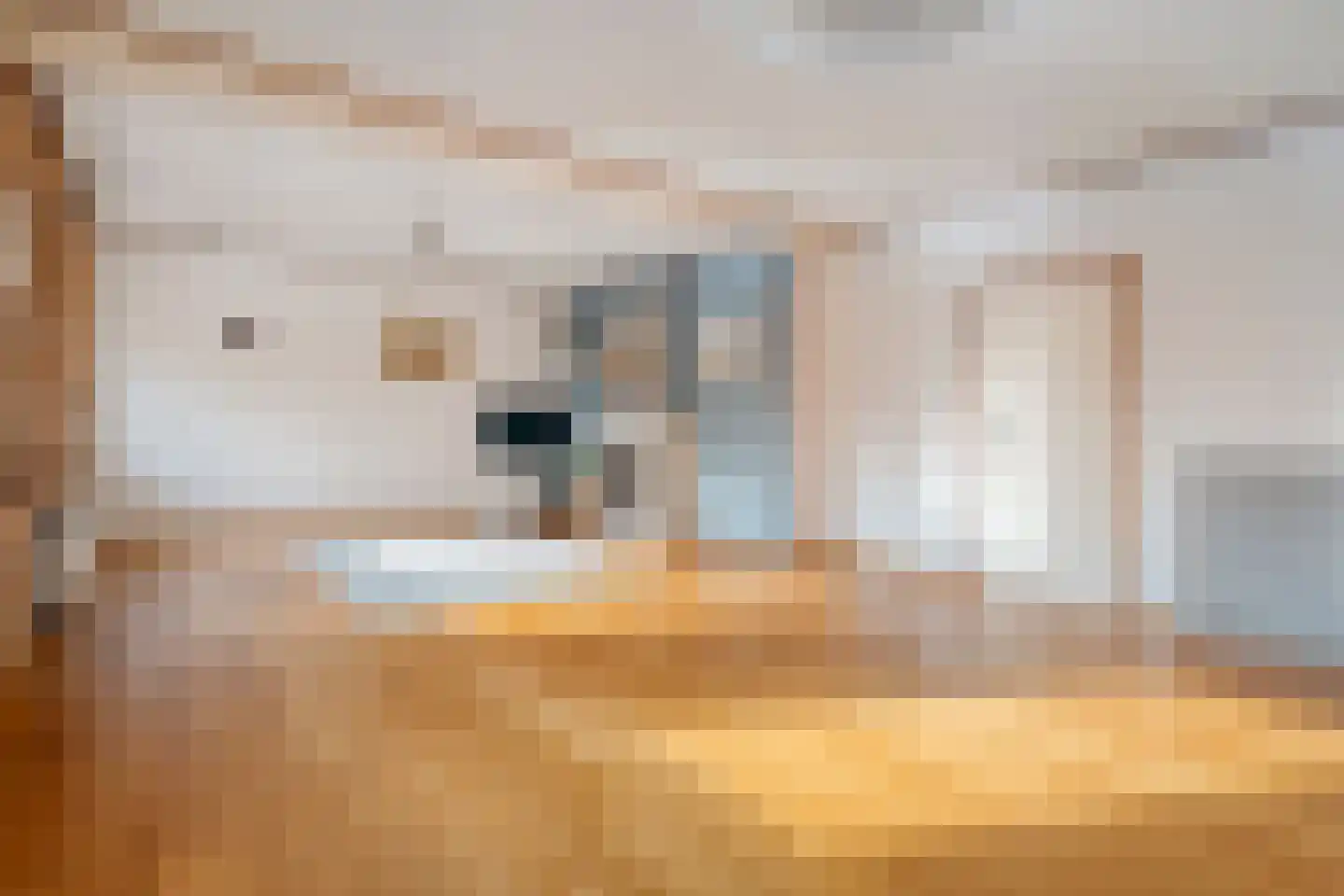 Moerheimstraat 26 Dedemsvaart thumbnail 49