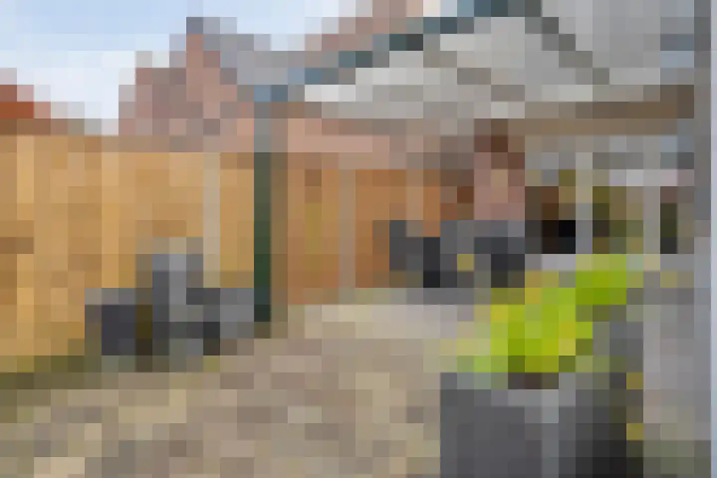 Moerheimstraat 26 Dedemsvaart thumbnail 53