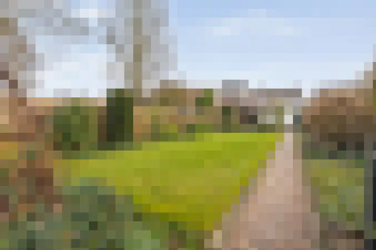 Moerheimstraat 26 Dedemsvaart thumbnail 58
