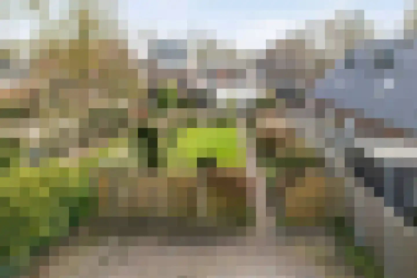 Moerheimstraat 26 Dedemsvaart thumbnail 62