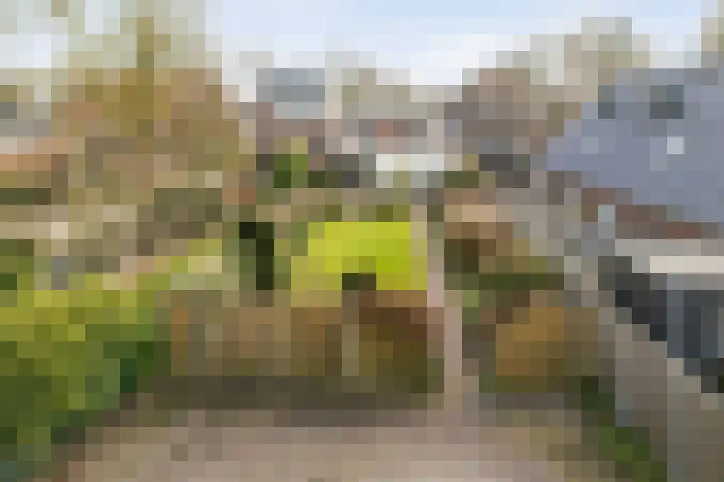 Moerheimstraat 26 Dedemsvaart thumbnail 66