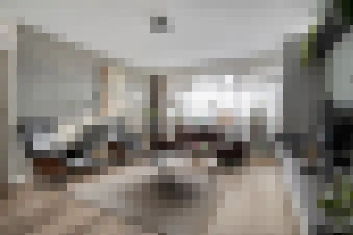 Moerheimstraat 26 Dedemsvaart thumbnail 9