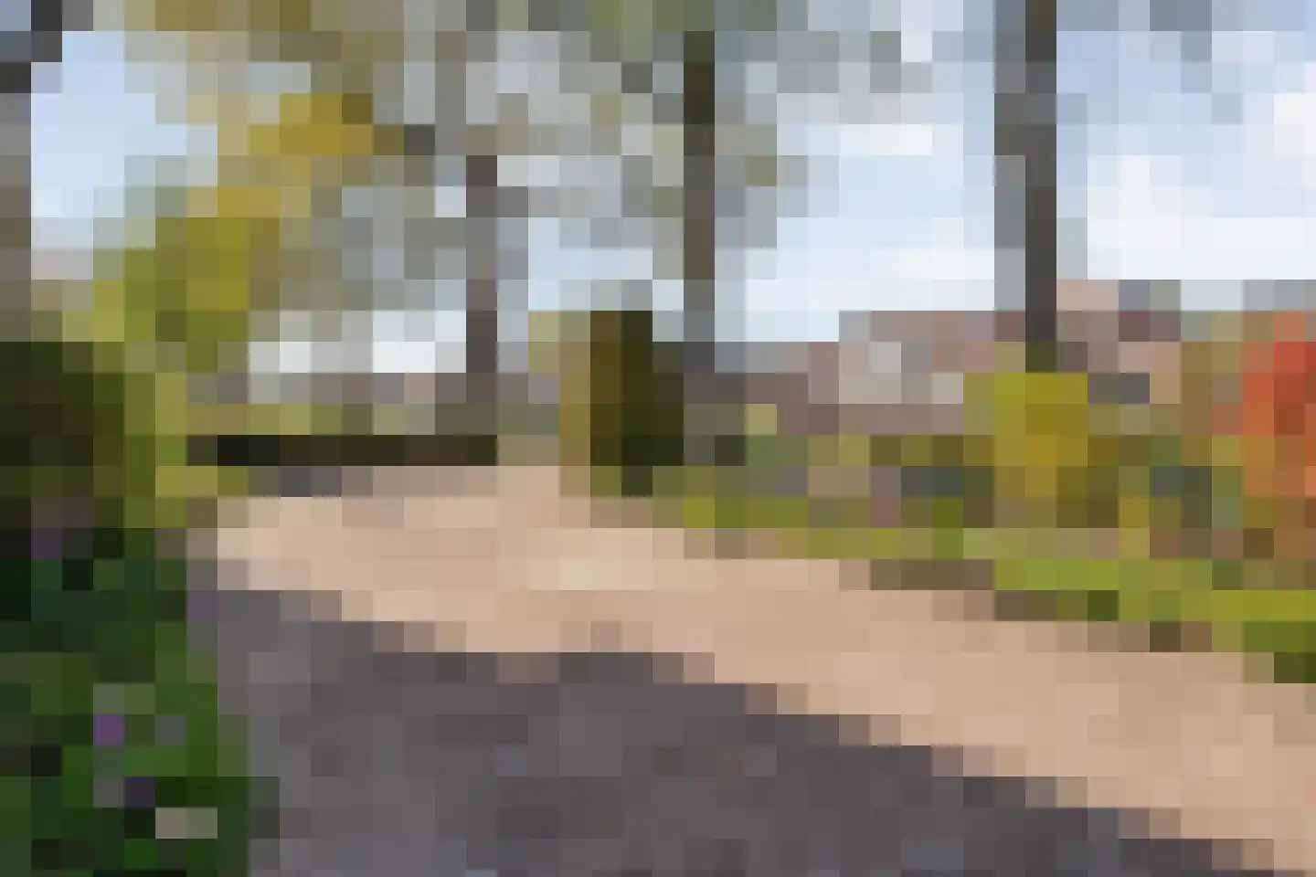 Moerheimstraat 33 Dedemsvaart thumbnail 10