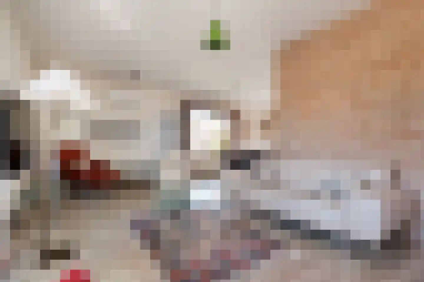 Moerheimstraat 33 Dedemsvaart thumbnail 18