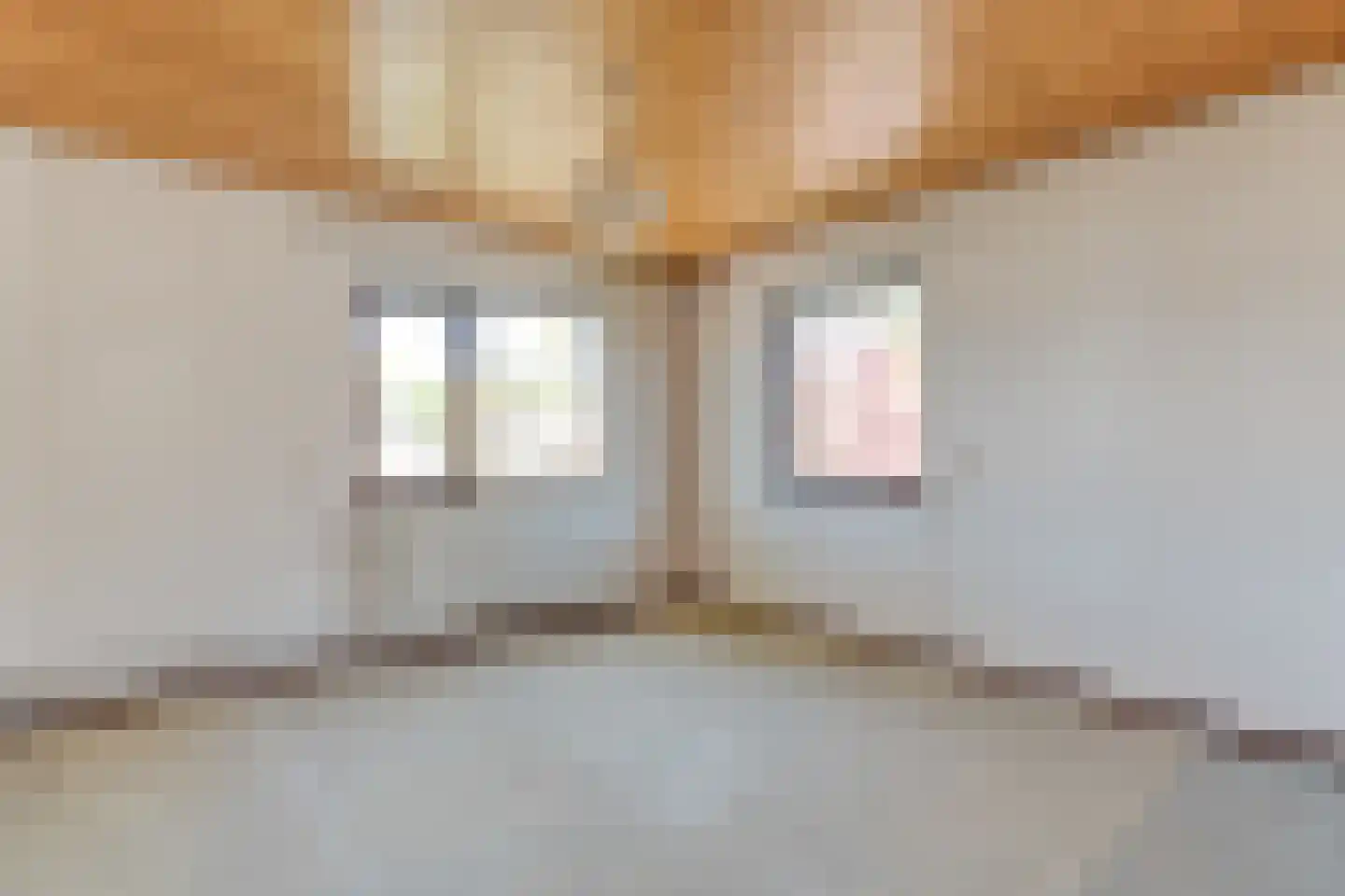 Moerheimstraat 33 Dedemsvaart thumbnail 35