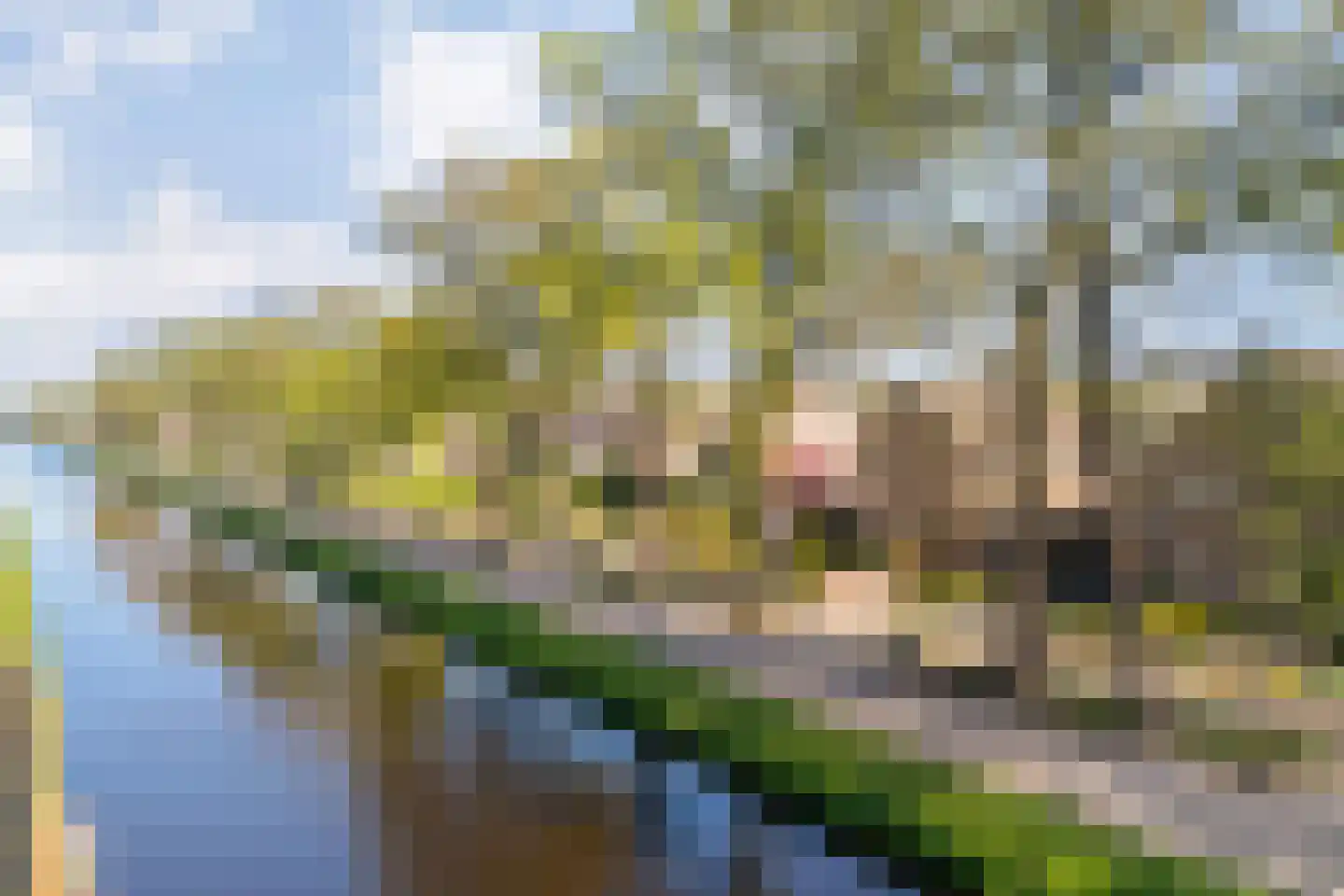 Moerheimstraat 33 Dedemsvaart thumbnail 4