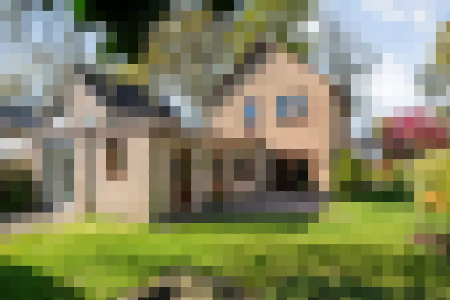 Moerheimstraat 33 Dedemsvaart thumbnail 41