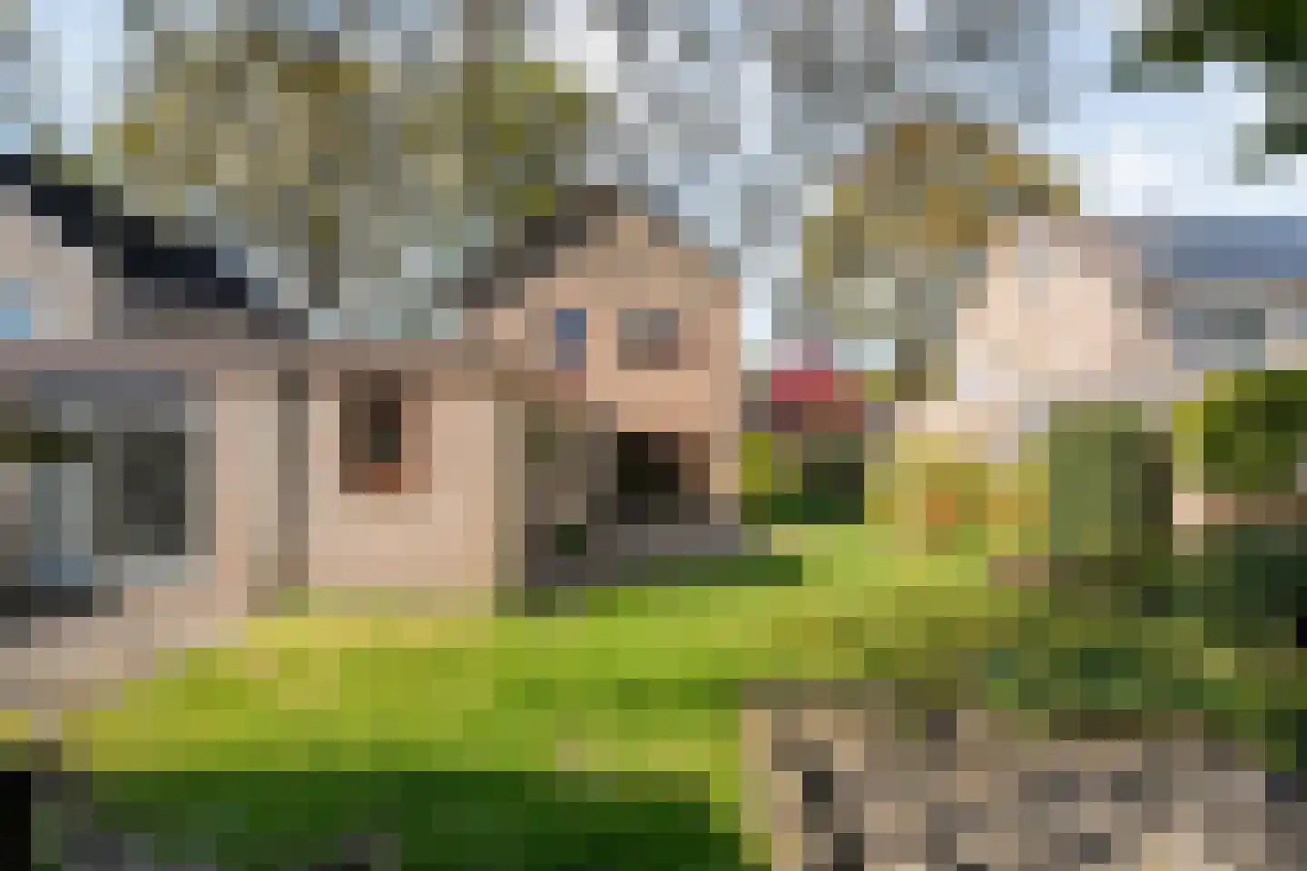 Moerheimstraat 33 Dedemsvaart thumbnail 46