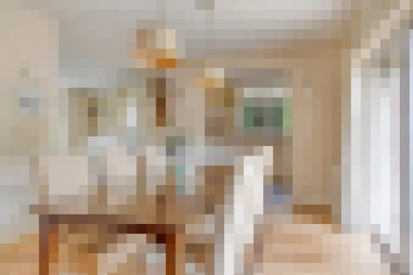 Moerheimstraat 47 Dedemsvaart thumbnail 10