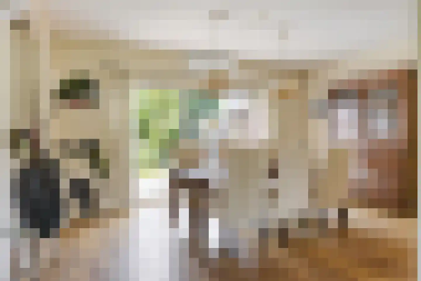 Moerheimstraat 47 Dedemsvaart thumbnail 11