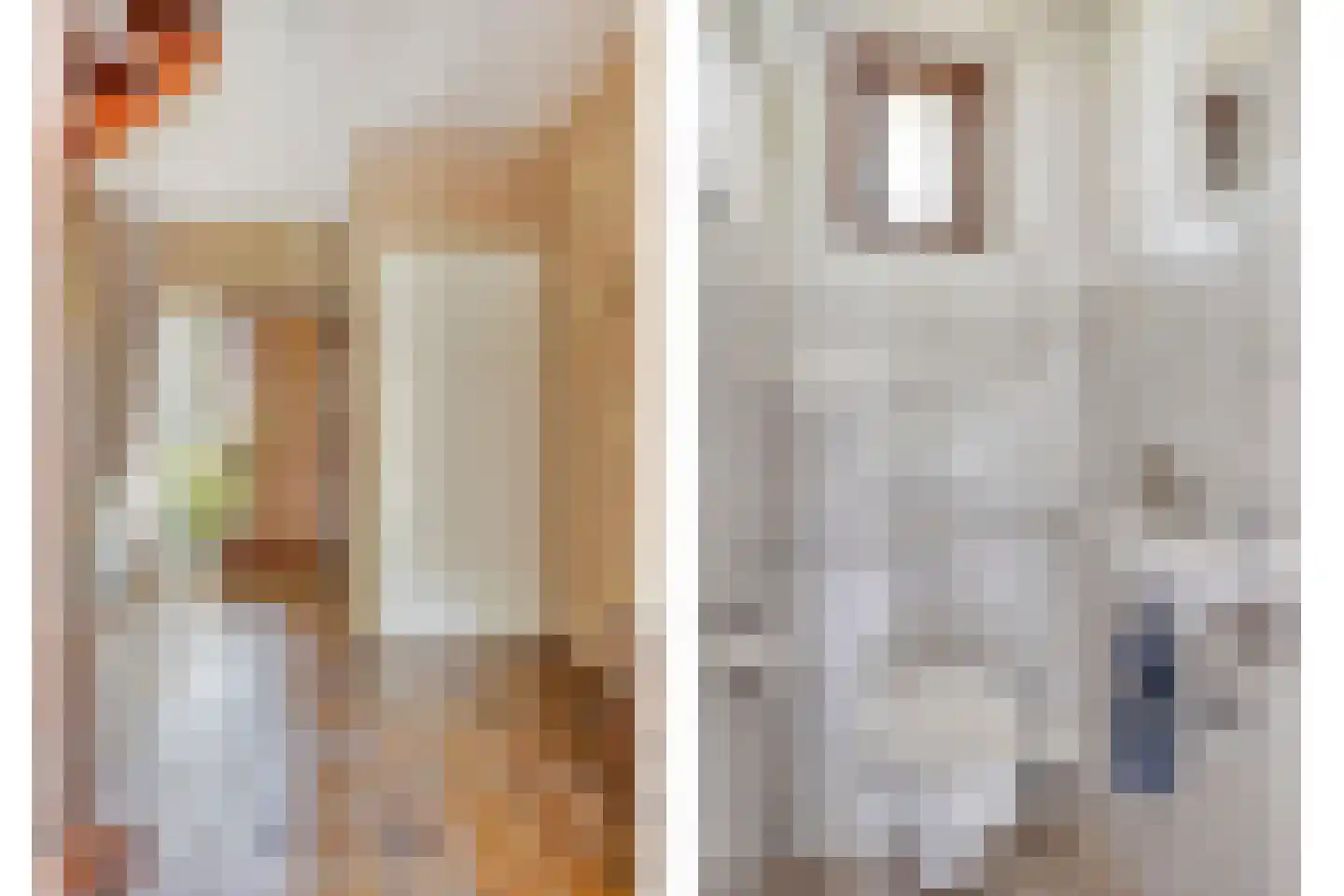 Moerheimstraat 47 Dedemsvaart thumbnail 15