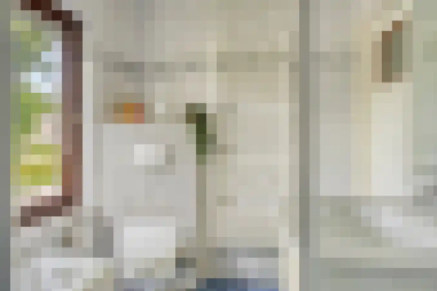 Moerheimstraat 47 Dedemsvaart thumbnail 28