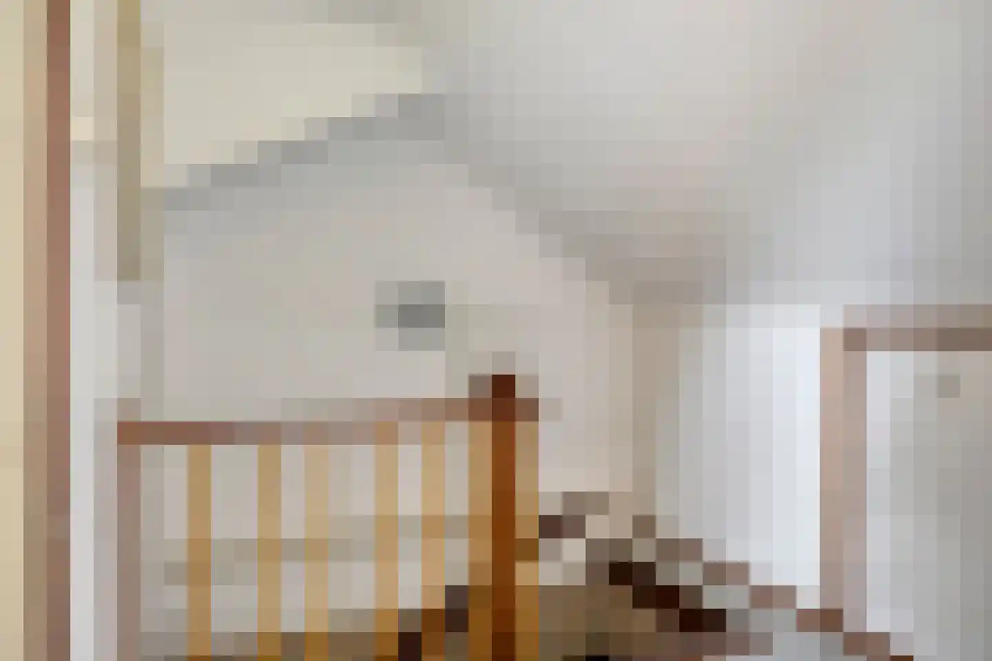 Moerheimstraat 47 Dedemsvaart thumbnail 32