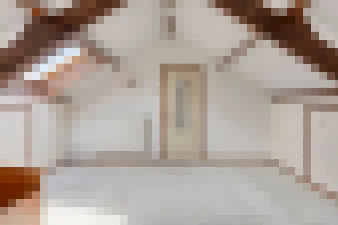 Moerheimstraat 47 Dedemsvaart thumbnail 34