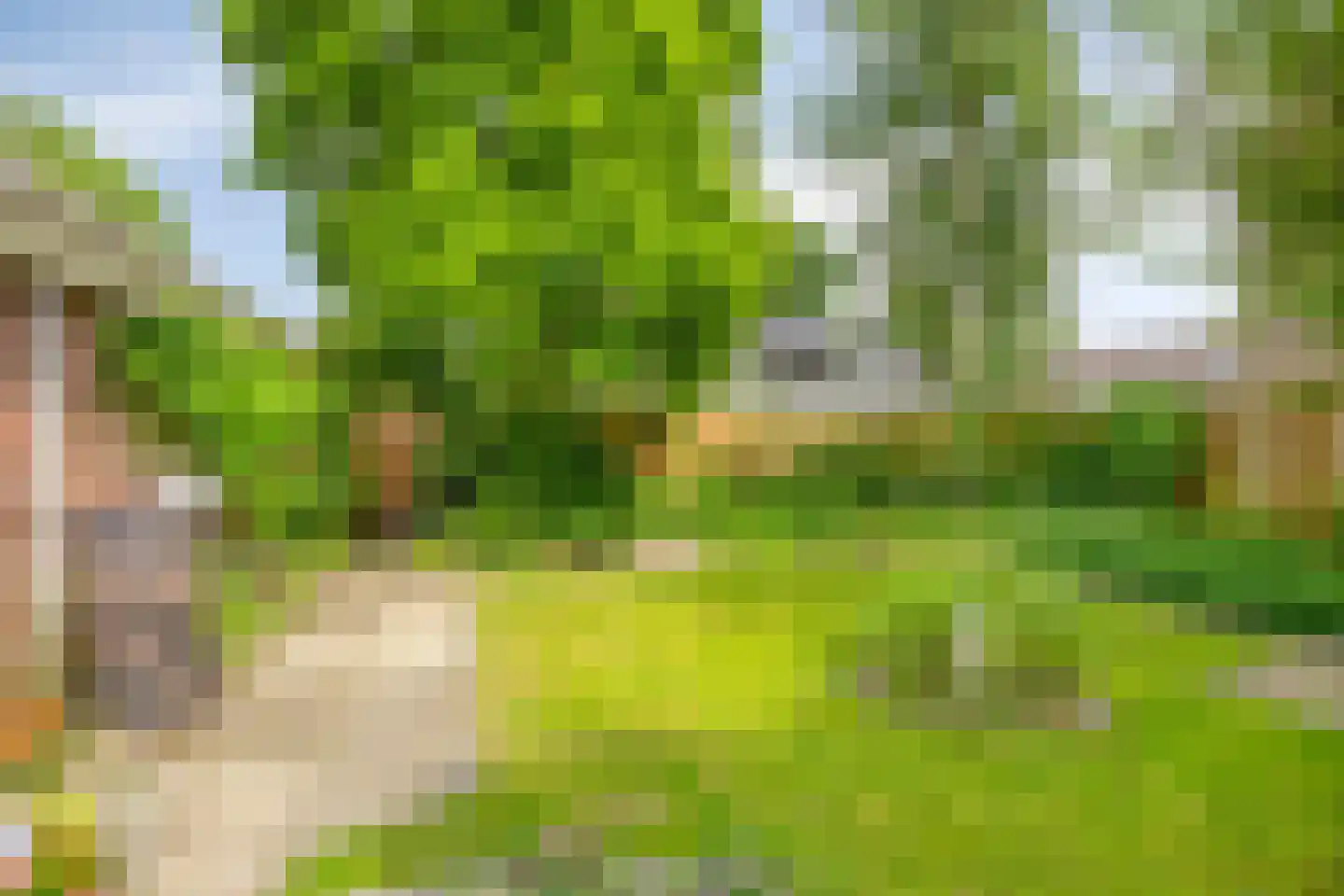 Moerheimstraat 47 Dedemsvaart thumbnail 36