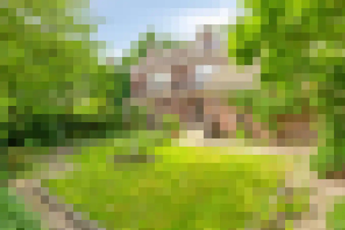 Moerheimstraat 47 Dedemsvaart thumbnail 37