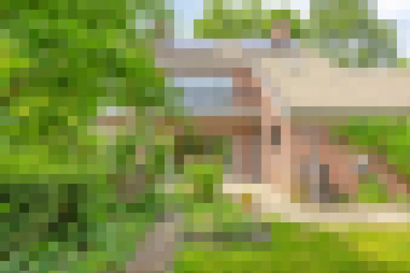 Moerheimstraat 47 Dedemsvaart thumbnail 38