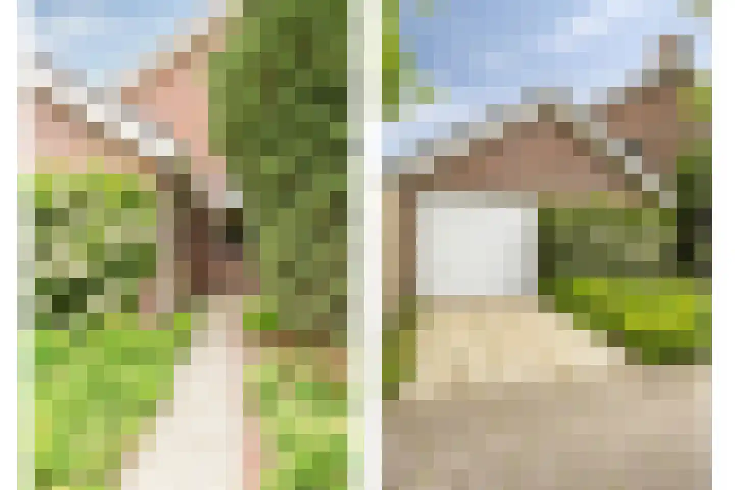 Moerheimstraat 47 Dedemsvaart thumbnail 40