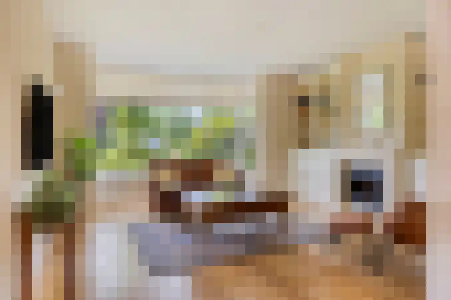 Moerheimstraat 47 Dedemsvaart thumbnail 7