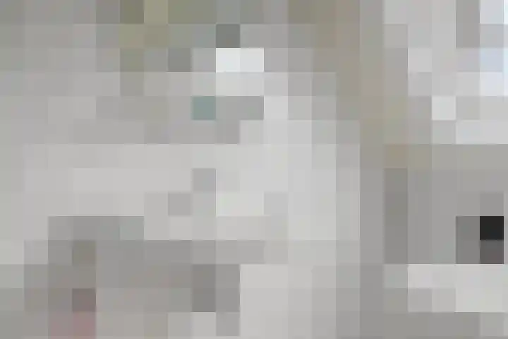 Moerkamp 25 Beugen thumbnail 30