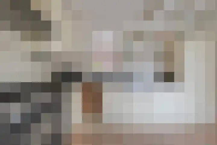 Moerkamp 25 Beugen thumbnail 4