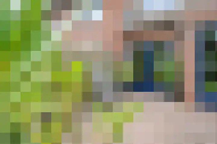 Moerkamp 25 Beugen thumbnail 42